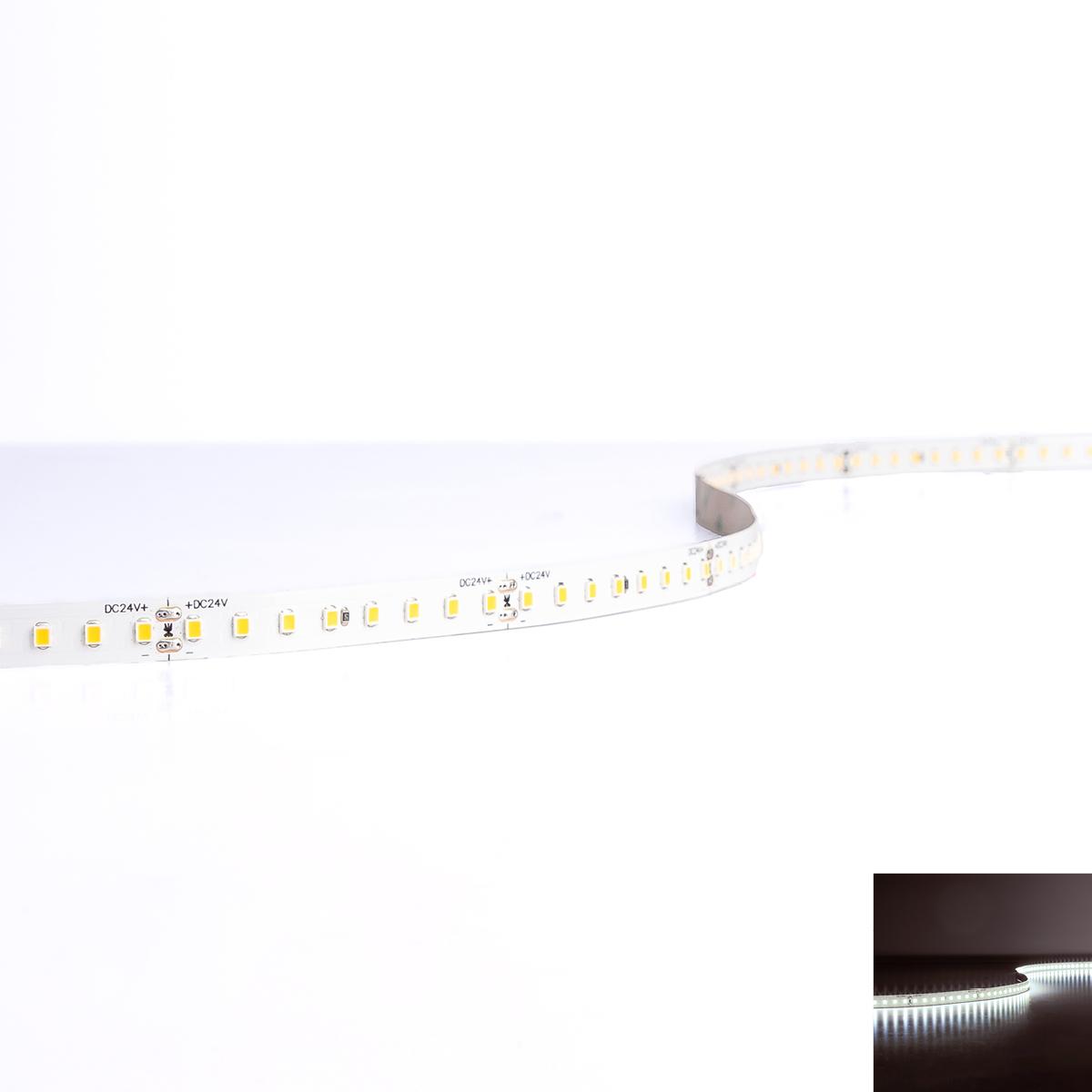 Strip 24V LED Streifen 5M 12W/m 128LED/m 10mm IP20 - Lichtfarbe: Kaltweiß 6500K