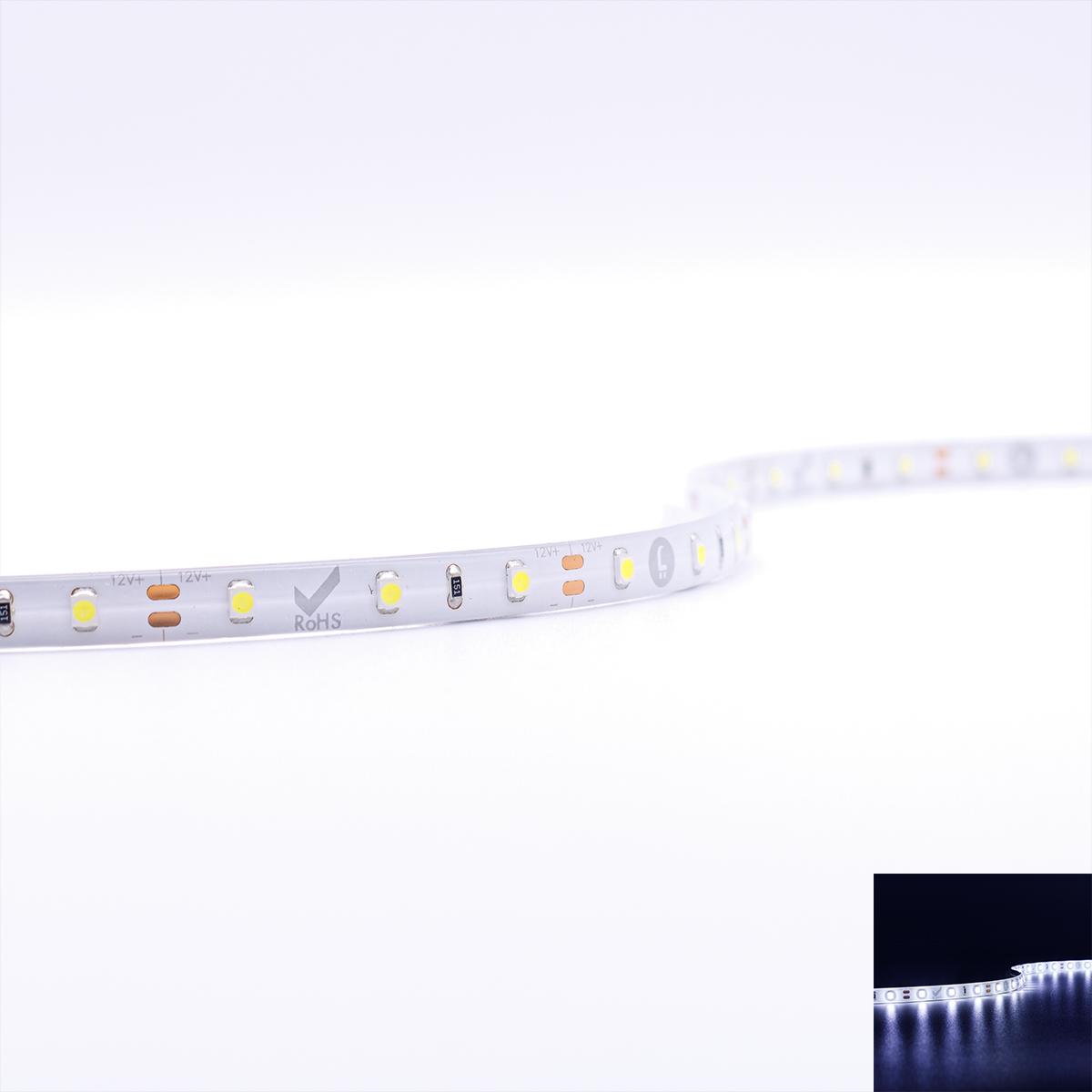 Strip 12V LED Streifen 5M 4,8W/m 60LED/m 8mm - Lichtfarbe: Kaltweiß 6000K - Schutzart: IP65
