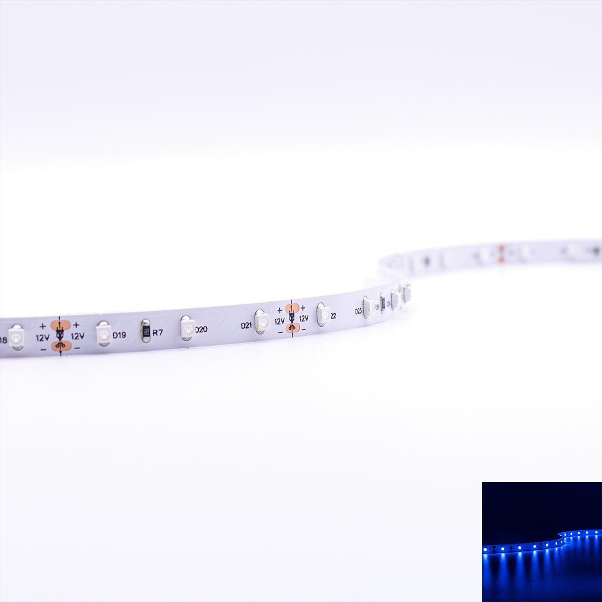 Strip 12V LED Streifen 5M 4,8W/m 60LED/m 8mm - Lichtfarbe: Blau - Schutzart: IP20