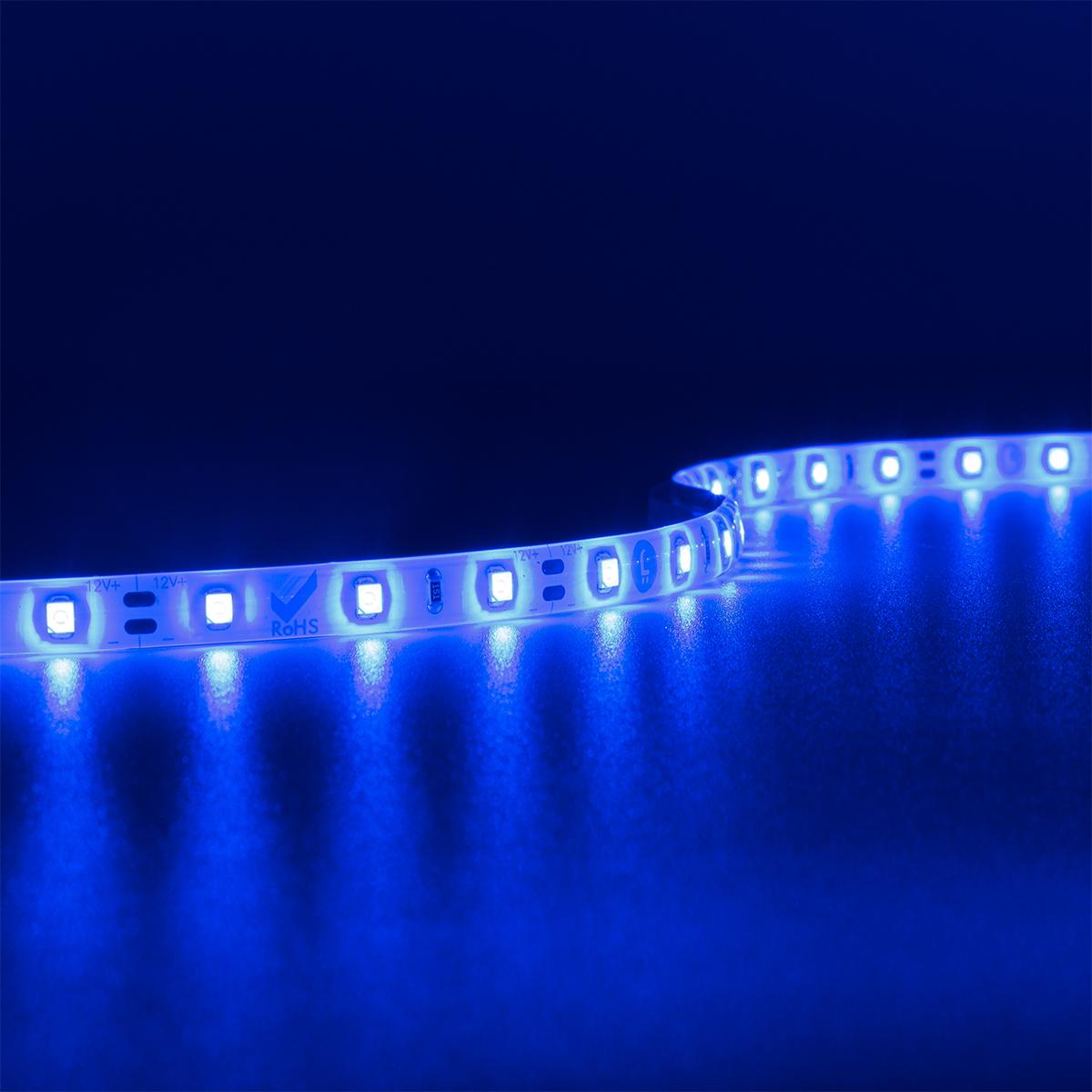 Strip 12V LED Streifen 5M 4,8W/m 60LED/m 8mm - Lichtfarbe: Blau - Schutzart: IP65