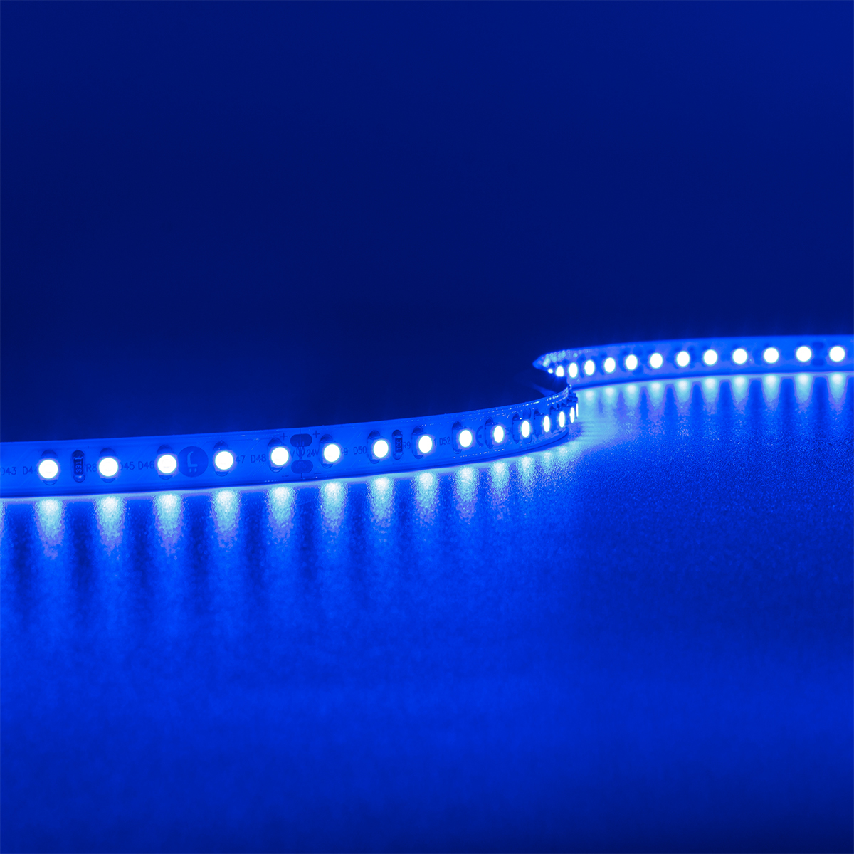 Strip 24V LED Streifen 5M 9,6W/m 120LED/m 8mm - Lichtfarbe: Blau - Schutzart: IP20