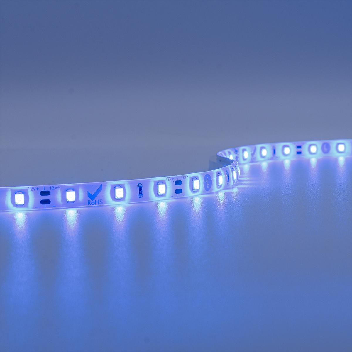 Strip 12V LED Streifen 5M 4,8W/m 60LED/m 8mm - Lichtfarbe: Blau - Schutzart: IP65
