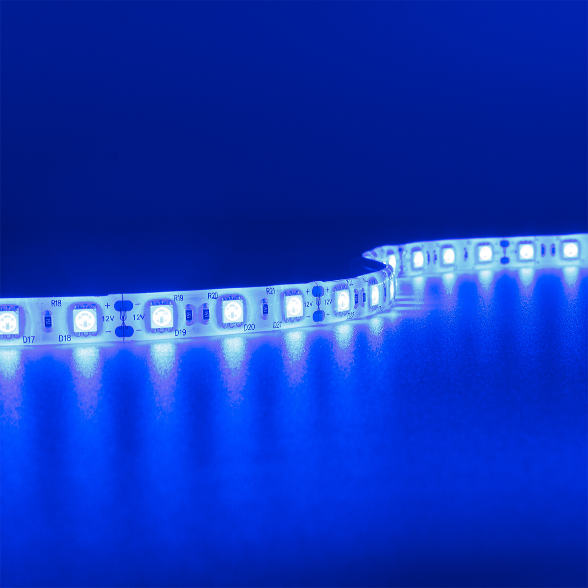 Strip 12V 5M 14,4W/m 60LED/m 10mm - Lichtfarbe: Blau - Schutzart: IP65