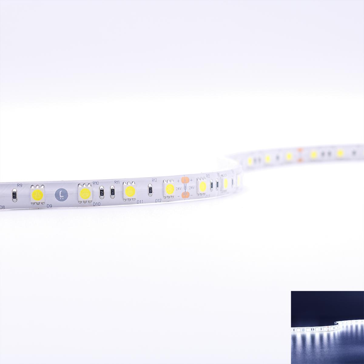 Strip 24V LED Streifen 5M 14,4W/m 60LED/m 10mm - Lichtfarbe: Kaltweiß 6000K - Schutzart: IP65